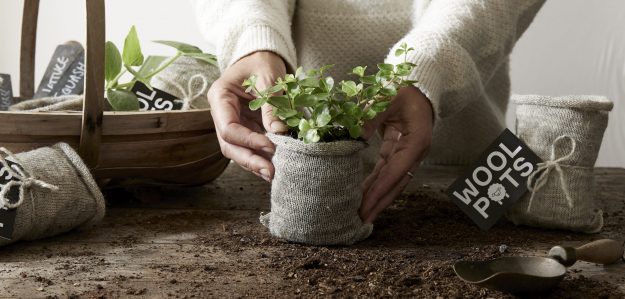 Wool Pots