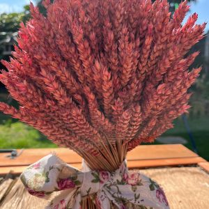 Wheat Stook - Pink