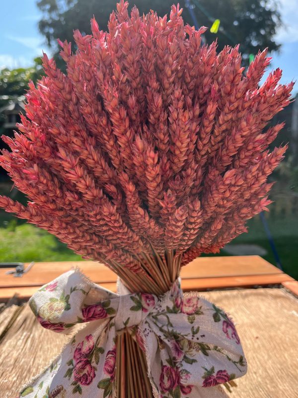 Wheat Stook - Pink