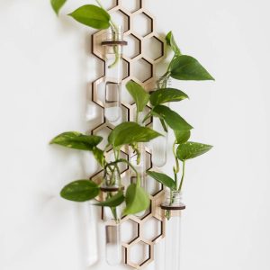 5 Tube Hanging Honeycomb Propagation Station
