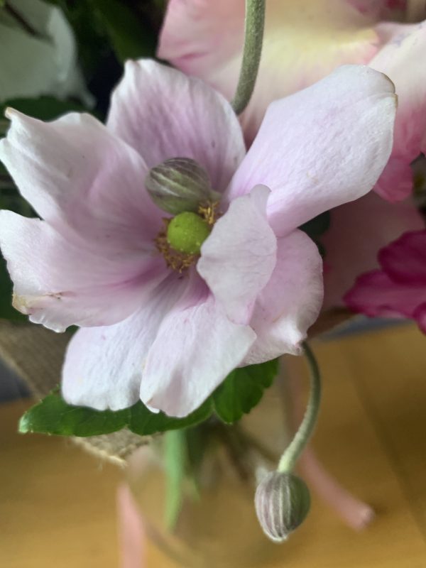 Hand tied bouquet - The joy of late summer - Image 4