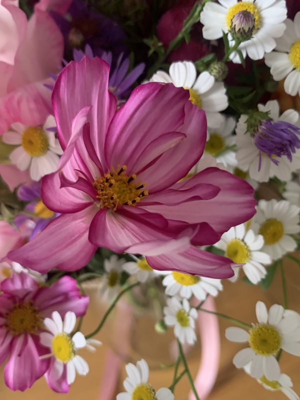 Hand tied bouquet - The joy of late summer - Image 2