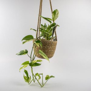 Odda Hanging Natural Woven Lined Planter H14Cm D17Cm