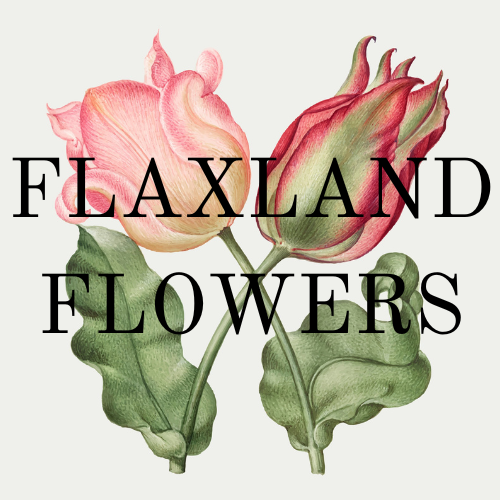 Flaxland Flowers