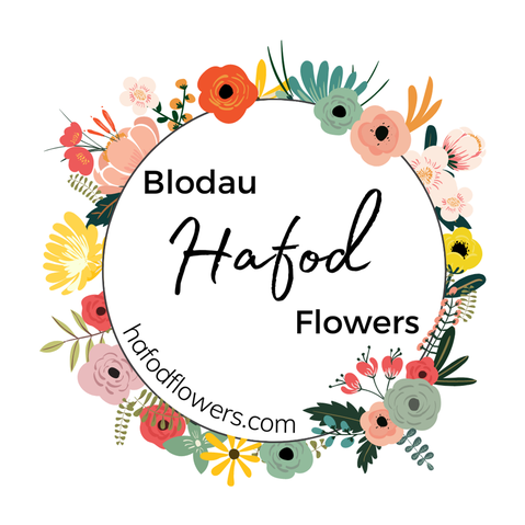 BlodauHafodFlowers