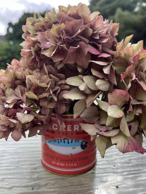 Tin Can Garden Posy - Image 3