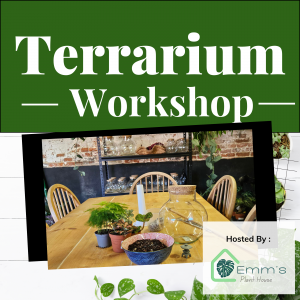 Terrarium Workshop