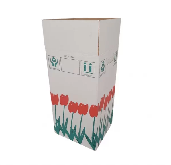 Large Flower Boxes Green and Red print