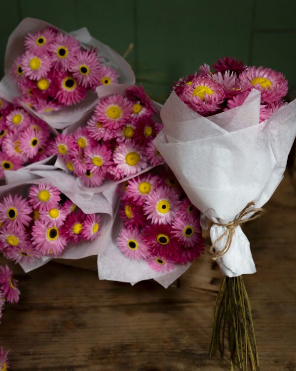 dried pink paper daises bunches tied together with twine and wrapped in tissue. one bunch is stood up and the others are laying down