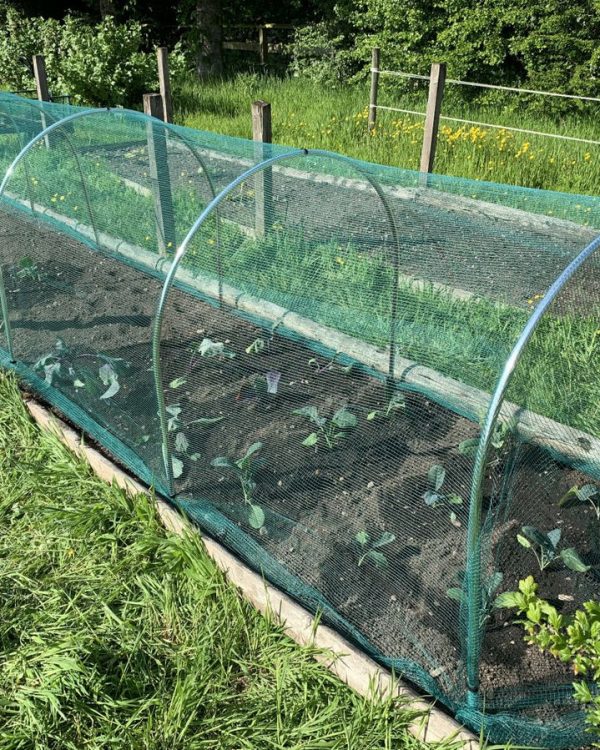 High Top Hoop - Large