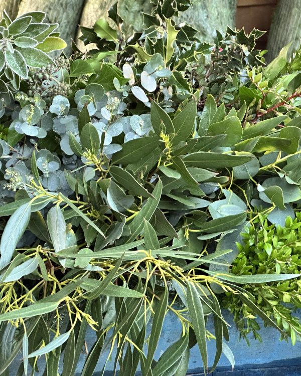 Mixed Festive Foliage buckets