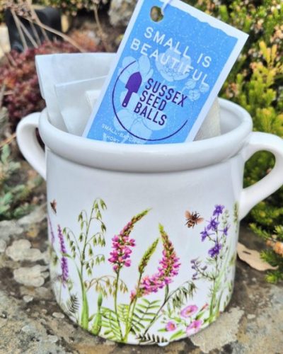 Ceramic planter gift pot - large