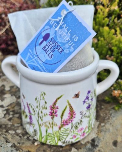 Ceramic planter gift pot - medium