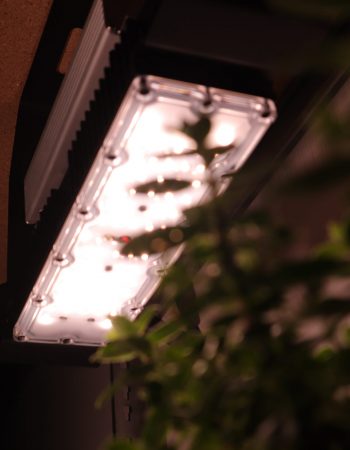 Copy of IMG_4731-min