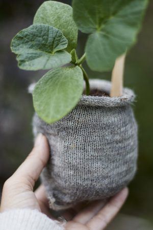 Hand & Plant in WP outside - 3