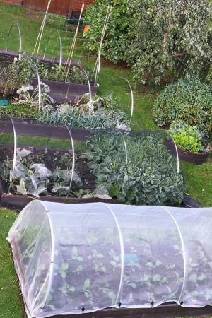 garden-hoops-small-round_34fb67ef-091d-4135-8721-f3c8841cb4ed